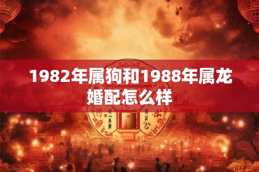 1982年属狗和1988年属龙婚配怎么样