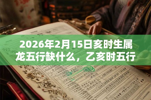 2026年2月15日亥时生属龙五行缺什么，乙亥时五行缺什么