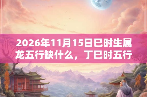 2026年11月15日巳时生属龙五行缺什么，丁巳时五行缺什么