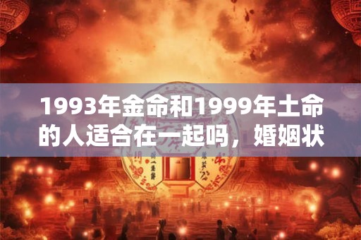 1993年金命和1999年土命的人适合在一起吗，婚姻状况如何