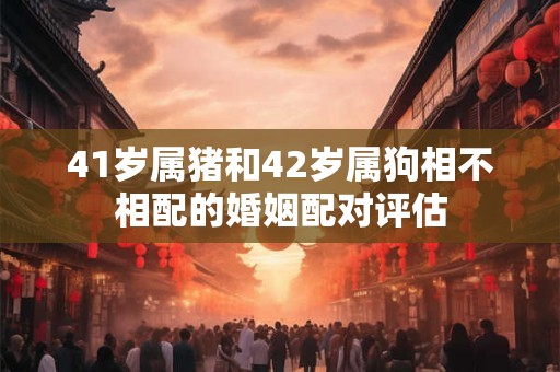 41岁属猪和42岁属狗相不相配的婚姻配对评估