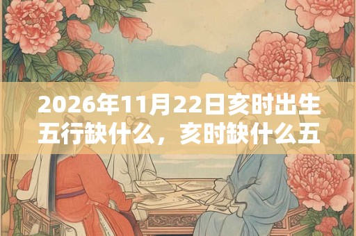 2026年11月22日亥时出生五行缺什么，亥时缺什么五行