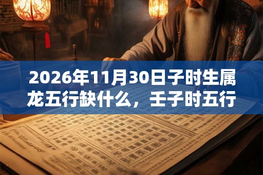 2026年11月30日子时生属龙五行缺什么，壬子时五行缺什么
