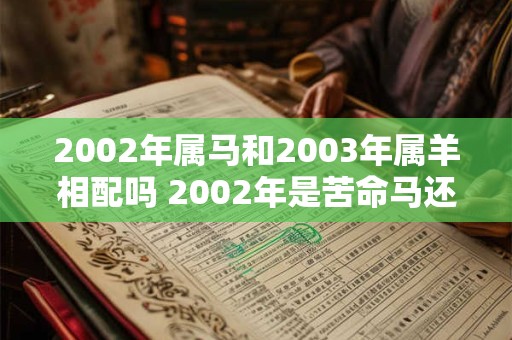 2002年属马和2003年属羊相配吗 2002年是苦命马还是富马
