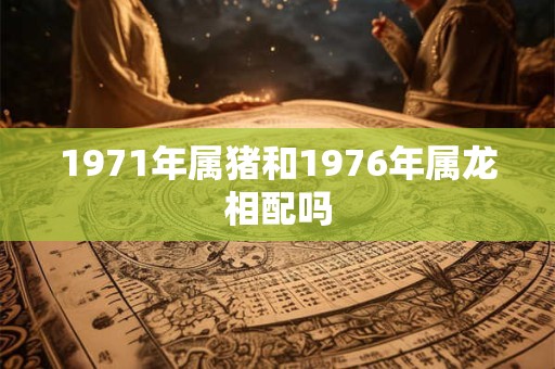 1971年属猪和1976年属龙相配吗