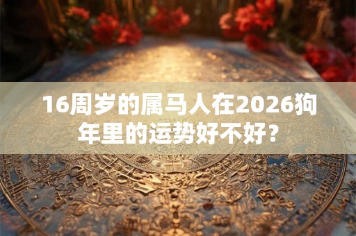 16周岁的属马人在2026狗年里的运势好不好？