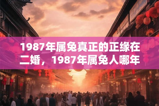 1987年属兔真正的正缘在二婚，1987年属兔人哪年才能走大运？
