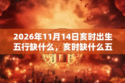 2026年11月14日亥时出生五行缺什么,亥时缺什么五行 2026年11月14日亥时出生五行缺什么,亥时缺什么五行