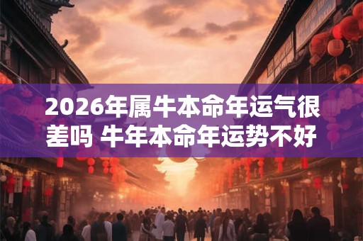 2026年属牛本命年运气很差吗 牛年本命年运势不好怎么办