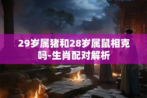 29岁属猪和28岁属鼠相克吗-生肖配对解析