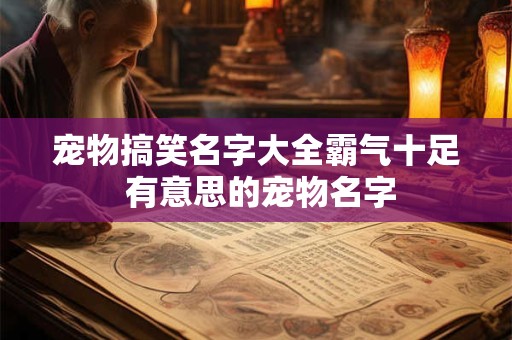 宠物搞笑名字大全霸气十足 有意思的宠物名字