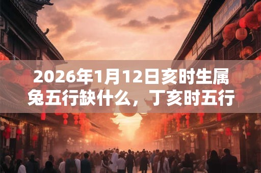 2026年1月12日亥时生属兔五行缺什么，丁亥时五行缺什么