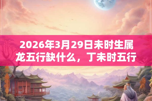 2026年3月29日未时生属龙五行缺什么，丁未时五行缺什么