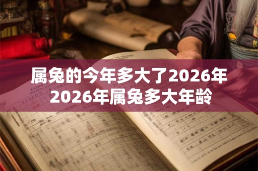 属兔的今年多大了2026年 2026年属兔多大年龄