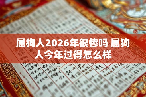 属狗人2026年很惨吗 属狗人今年过得怎么样