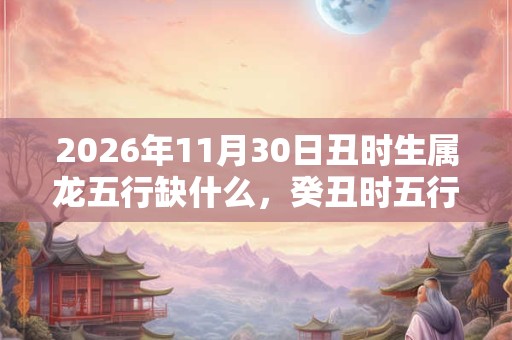 2026年11月30日丑时生属龙五行缺什么，癸丑时五行缺什么