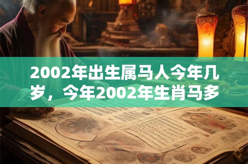 2002年出生属马人今年几岁，今年2002年生肖马多大