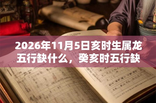 2026年11月5日亥时生属龙五行缺什么，癸亥时五行缺什么