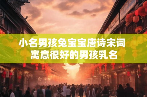 小名男孩兔宝宝唐诗宋词 寓意很好的男孩乳名