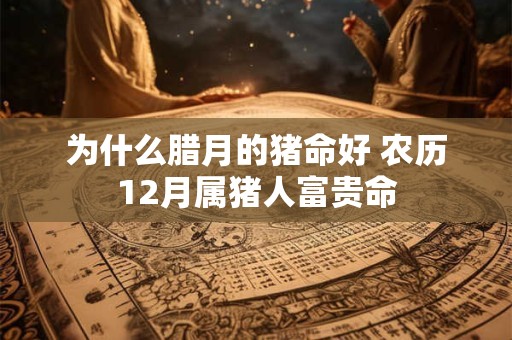 为什么腊月的猪命好 农历12月属猪人富贵命