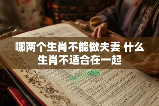 哪两个生肖不能做夫妻 什么生肖不适合在一起 哪两个生肖不能做夫妻 什么生肖不适合在一起