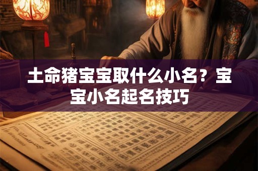 土命猪宝宝取什么小名?宝宝小名起名技巧 土命猪宝宝取什么小名?宝宝小名起名技巧