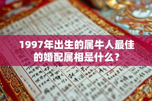 1997年出生的属牛人最佳的婚配属相是什么？