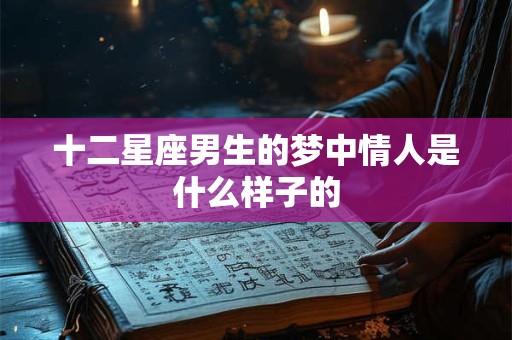 十二星座男生的梦中情人是什么样子的