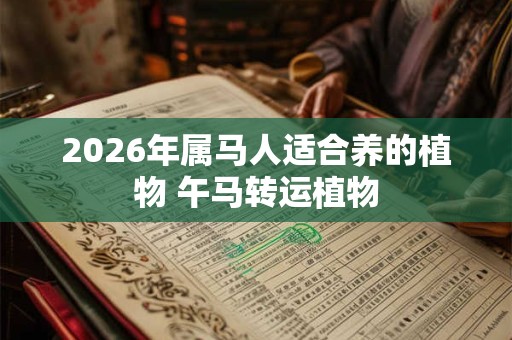 2026年属马人适合养的植物 午马转运植物 2026年属马人适合养的植物 午马转运植物