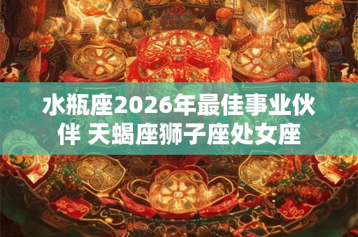 水瓶座2026年最佳事业伙伴 天蝎座狮子座处女座 水瓶座2026年最佳事业伙伴 天蝎座狮子座处女座