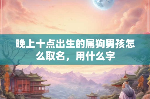晚上十点出生的属狗男孩怎么取名，用什么字