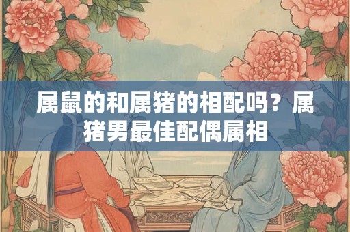属鼠的和属猪的相配吗？属猪男最佳配偶属相