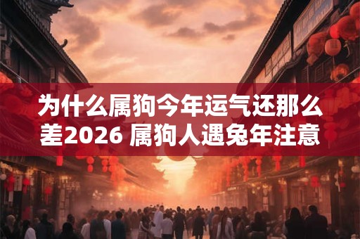 为什么属狗今年运气还那么差2026 属狗人遇兔年注意事项