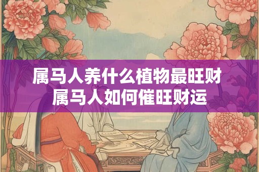 属马人养什么植物最旺财 属马人如何催旺财运 属马人养什么植物最旺财 属马人如何催旺财运