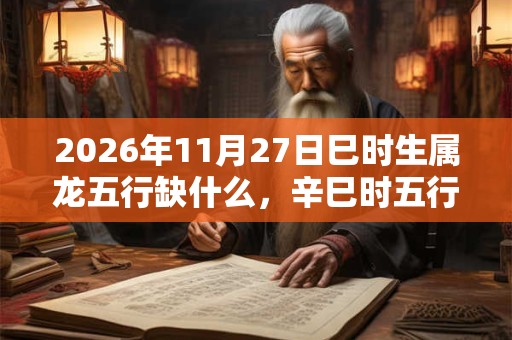 2026年11月27日巳时生属龙五行缺什么，辛巳时五行缺什么