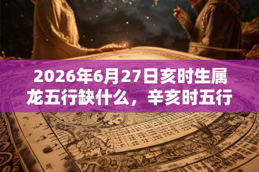 2026年6月27日亥时生属龙五行缺什么，辛亥时五行缺什么