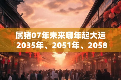 属猪07年未来哪年起大运 2035年、2051年、2058年