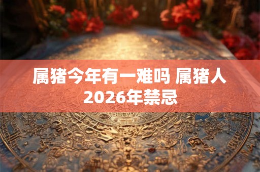 属猪今年有一难吗 属猪人2026年禁忌