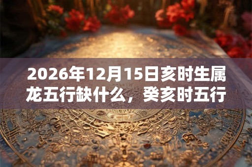 2026年12月15日亥时生属龙五行缺什么，癸亥时五行缺什么