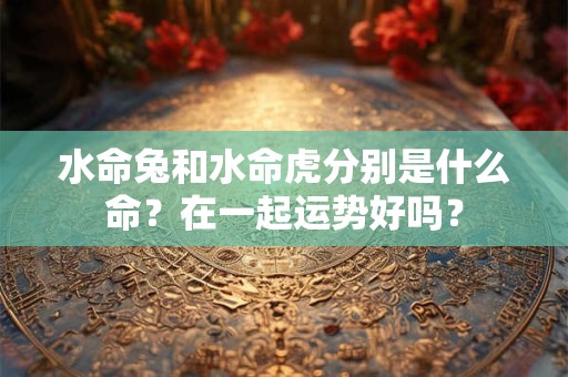 水命兔和水命虎分别是什么命？在一起运势好吗？