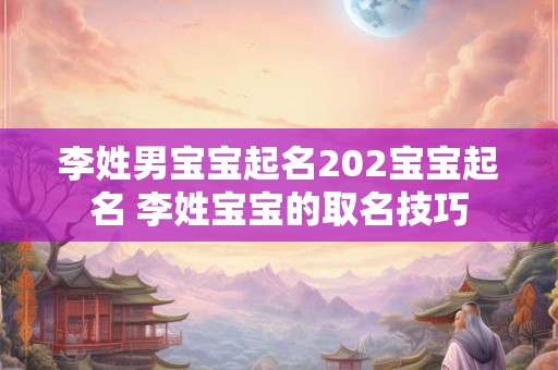 李姓男宝宝起名202宝宝起名 李姓宝宝的取名技巧