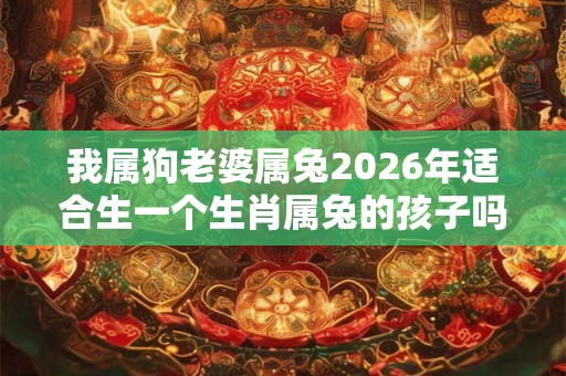 我属狗老婆属兔2026年适合生一个生肖属兔的孩子吗？