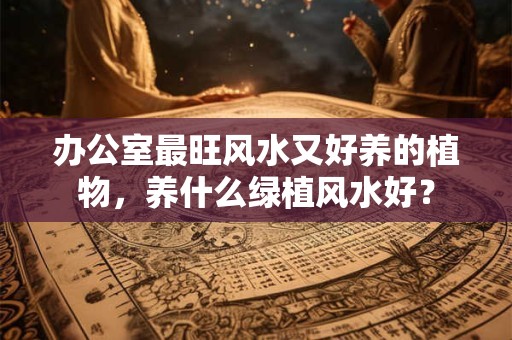 办公室最旺风水又好养的植物，养什么绿植风水好？