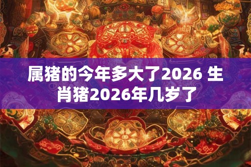 属猪的今年多大了2026 生肖猪2026年几岁了