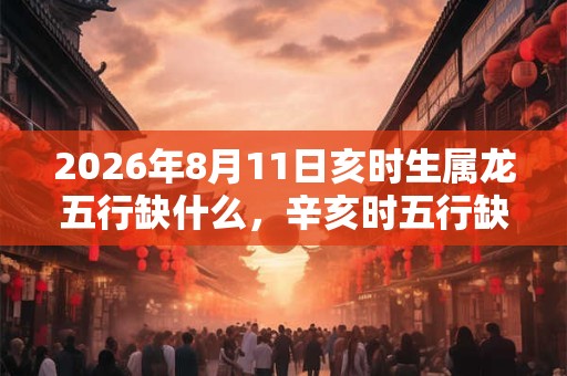2026年8月11日亥时生属龙五行缺什么，辛亥时五行缺什么