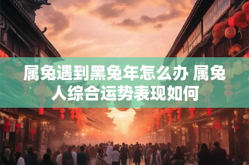 属兔遇到黑兔年怎么办 属兔人综合运势表现如何