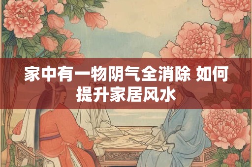 家中有一物阴气全消除 如何提升家居风水 家中有一物阴气全消除 如何提升家居风水