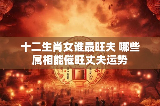 十二生肖女谁最旺夫 哪些属相能催旺丈夫运势 十二生肖女谁最旺夫 哪些属相能催旺丈夫运势