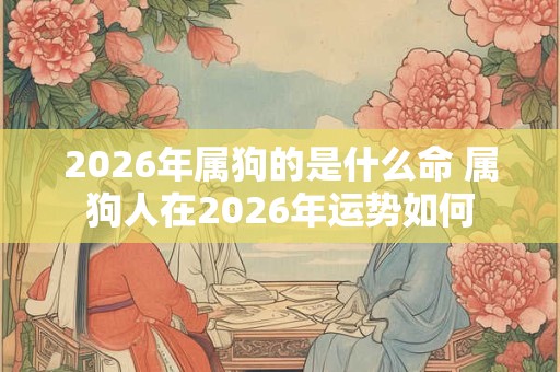2026年属狗的是什么命 属狗人在2026年运势如何 2026年属狗的是什么命 属狗人在2026年运势如何
