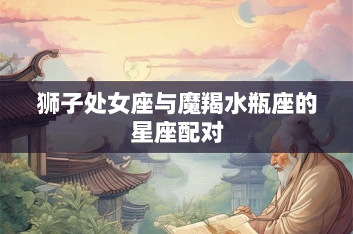 狮子处女座与魔羯水瓶座的星座配对